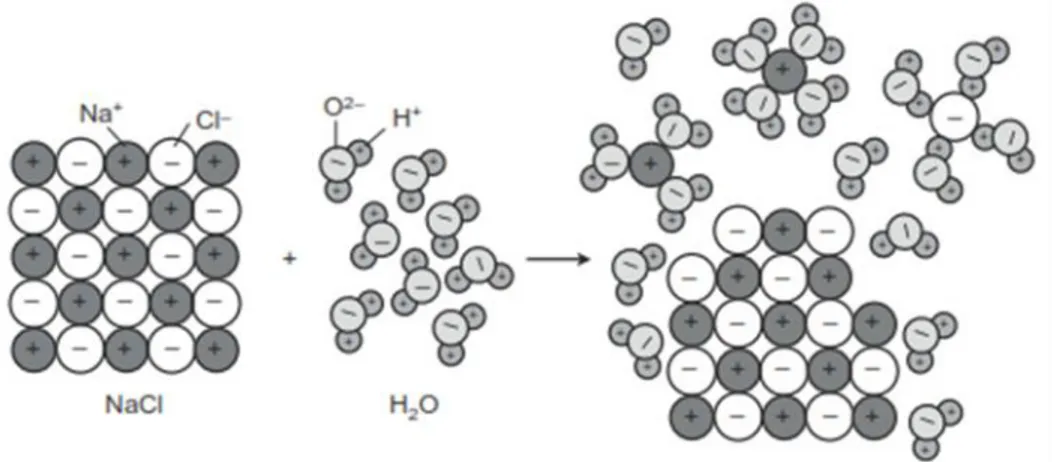 Gambar 2.1 Proses Hidrasi Senyawa Ion