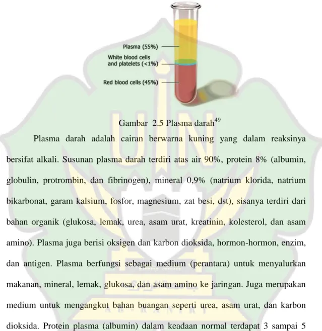 Gambar  2.5 Plasma darah 49