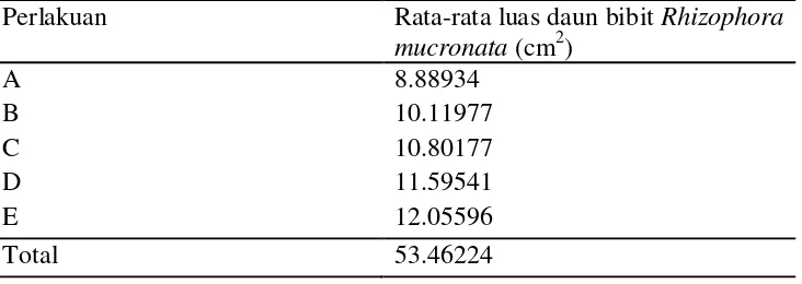 Tabel 3. Rata-rata luas daun  bibit Rhizophora mucronata (cm2). 