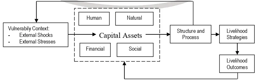 Gambar 1. Skema Coastal Livelihood System Analysis (Diadopsi dari Adrianto, 2005) 