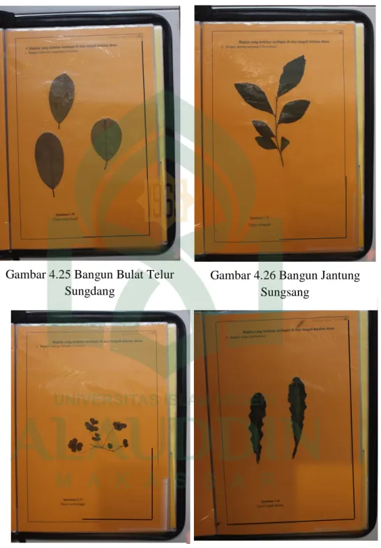 Gambar 4.25 Bangun Bulat Telur  Sungdang