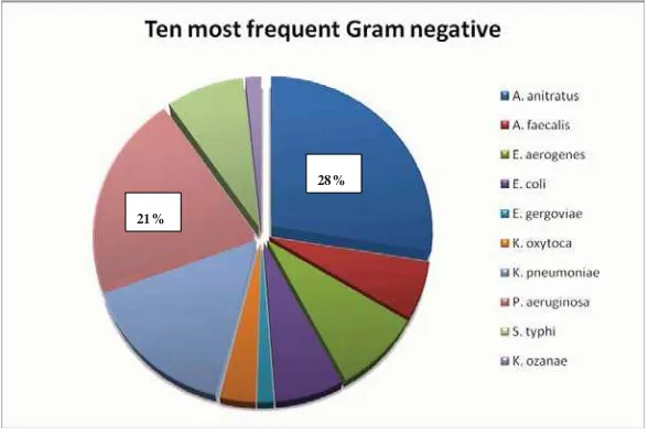 Figure 1. Percentage of isolated Acinetobacter anitratus compared         to other Gram negative bacteria
