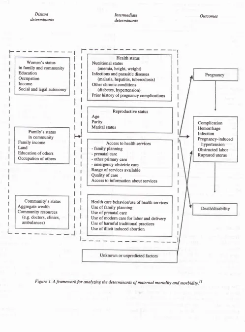 Figure 1. Aframeworkfor analyzing the determinants of matemal mornlity and morbidity.lt