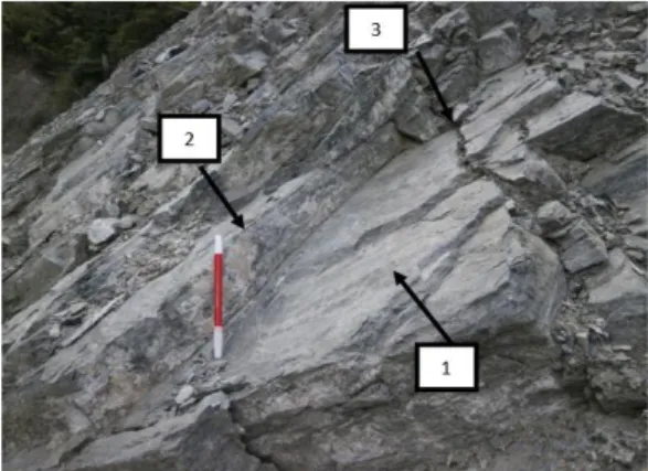 Gambar  11.  Bidang  gelincir  pada  longsoran  tebing  badan  jalan    di  Wentira  dengan  mode  keruntuhan planar (Triana, dkk., 2014) 