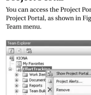 Figure 2-10. Choosing to show the Project Portal