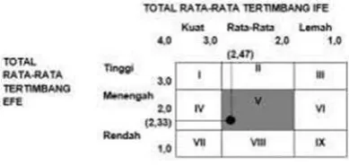 Gambar 1. Matriks Internal–Eksternal 