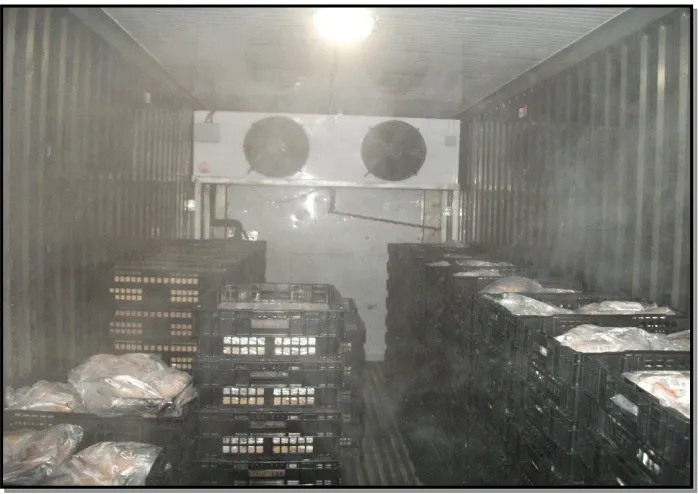 Gambar 3. Air Blast Freezer