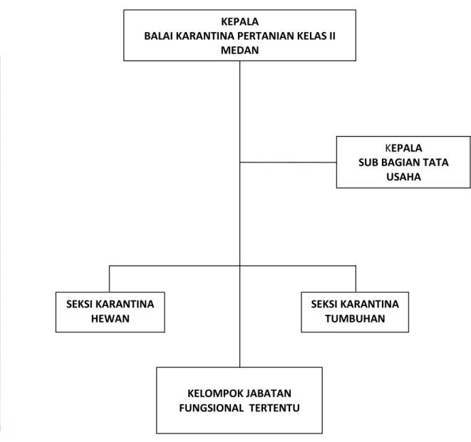 Gambar Bagan Struktur Oeganisasi Balai Karantina Pertanian Kelas II Medan  KEPALA  SUB BAGIAN TATA 