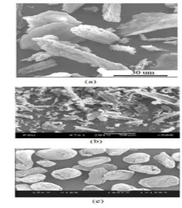 Gambar 9  Analisis SEM dari : (a) abu sekam padi, (b) karbon 