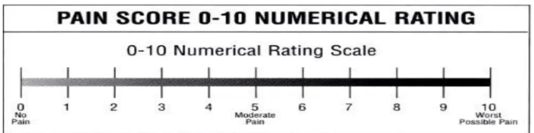 Gambar 2.1 NRS (Numeric Rating Scale) 