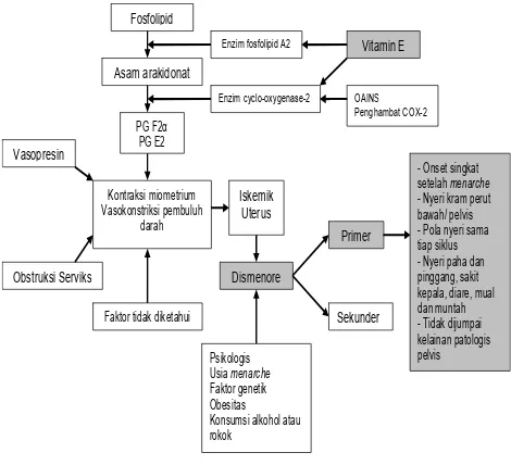 Gambar 2.5. Kerangka konsep penelitian Gambar 2.5. Kerangka konsep penelitian 