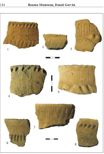 Fig. 2. Ceramic� Cucuteni C de la Solca-Slatina Mare