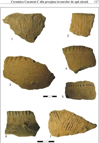 Fig. 3. Ceramic� Cucuteni C de la Solca-Slatina Mare