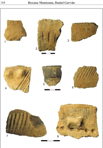 Fig. 4. Ceramic� Cucuteni C de la Solca-Slatina Mare
