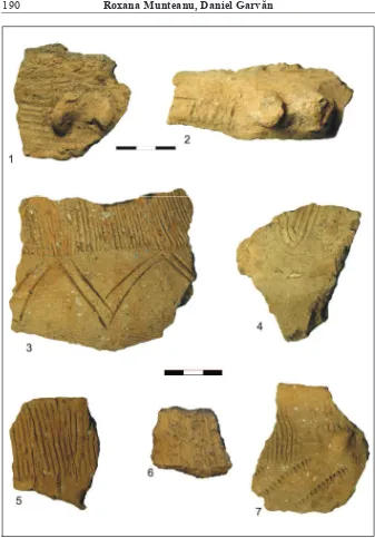 Fig. 5. Ceramic� Cucuteni C (1, 2 – Solca-Slatina Mare; 3-7 - Cacica) 