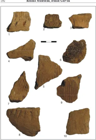 Fig. 7. Ceramic� Cucuteni C de la �olici-H�l�butoaia