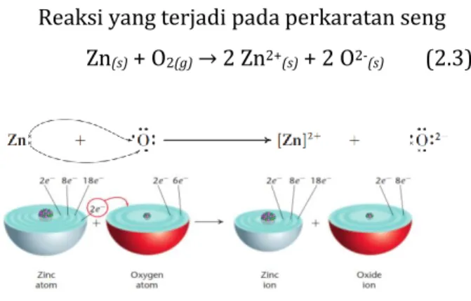 Gambar 2.5. Reaksi perkaratan seng  