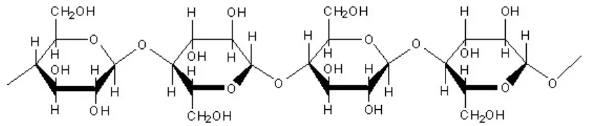 Gambar 2.3  Struktur Kimia Selulosa 
