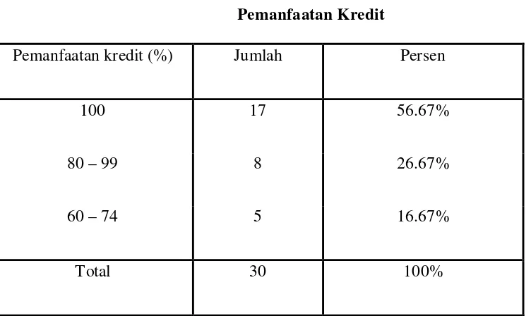 Tabel 4.6 Pemanfaatan Kredit 