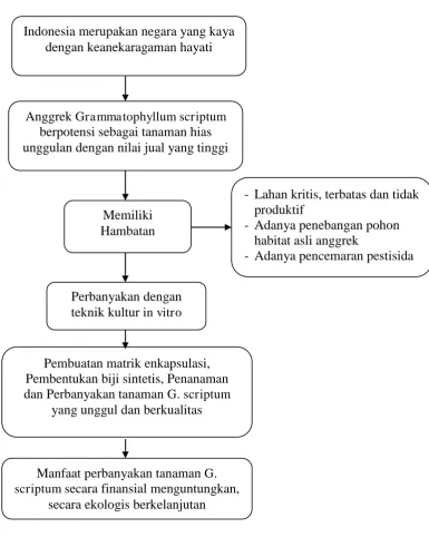Gambar 2.1. Kerangka Pemikiran 