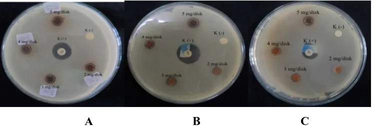 Gambar 4.  Kromatografi Lapis Tipis Ekstrak Etanol Kulit Batang Tumbuhan Sala Keterangan gambar: 