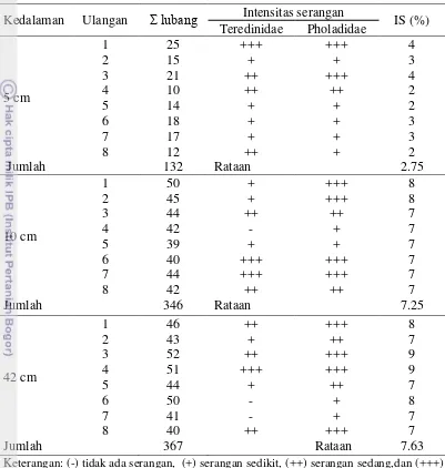 Tabel 7 Intensitas serangan marine borers pada kayu nangka 