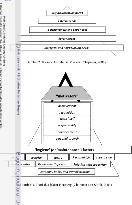 Gambar 2. Hierarki kebutuhan Maslow (Chapman, 2001) 