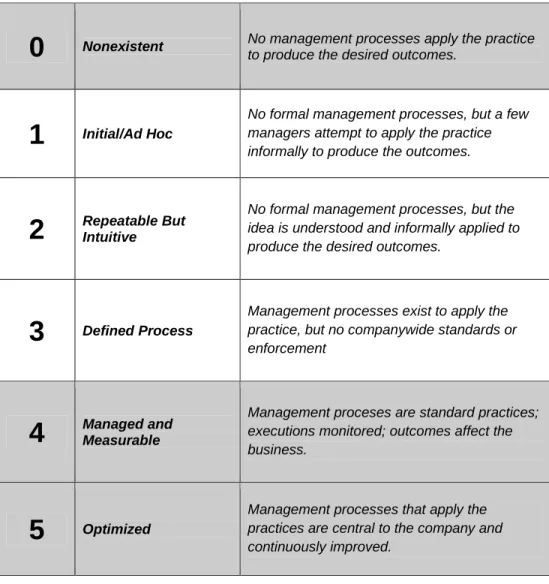 Tabel 2.3    Business Value Maturity Model™ 