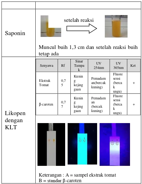 Tabel 2. Hasil uji identifikasi senyawa kimia 