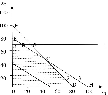 Gambar 2.8 Grafik Multiple Optimal Solution 