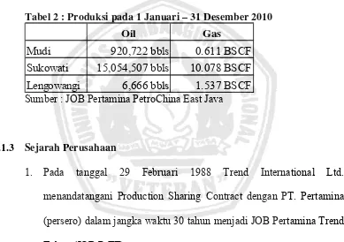 Tabel 1 : Data Produksi Sumur pada 31 Januari 2011 