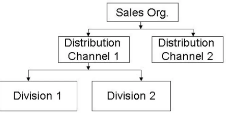 Gambar 2.6 Sales Area of Sales and Distribution  Sumber: ([ Anonim 3]) 