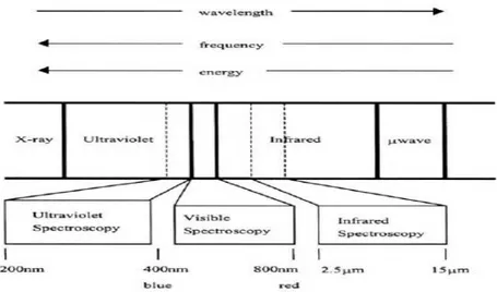 Gambar 2.2. Spektrum cahaya  yang digunakan dalam spektroskopi (Day 