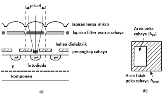 Gambar  2.9.  (a)  Tampang  lintang  pixel  (b)  tampang  pixel  dari  atas 