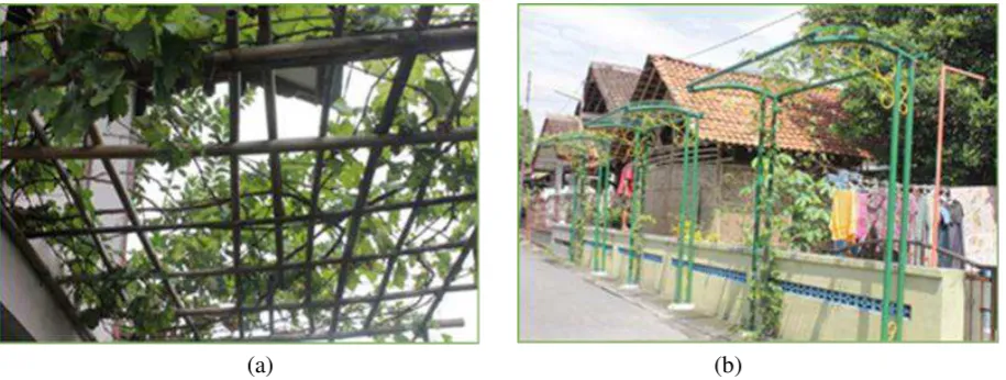 Fig. 3. Urban Farming for hobby purpose 