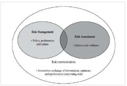 Gambar 2.11 Three Tasks of Risk Analysis 