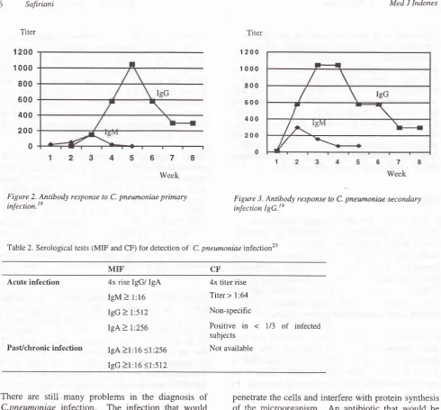 Figure 2. Antibody response to C. pneumoniae primary