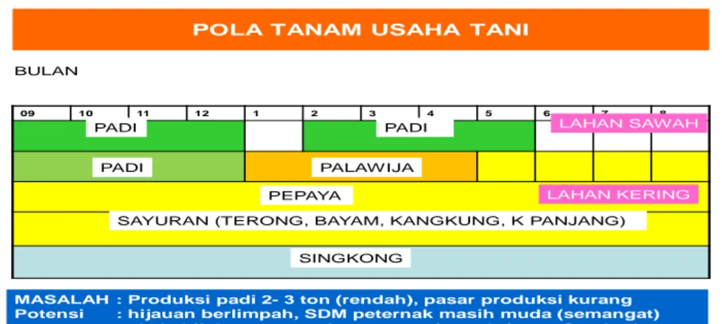 Gambar 1.  Analisis  pola  tanam  yang  terjadi  di  Nagarai  Kayu  tanam,  Kabupaten  Padang  Pariaman (Sumbar) 