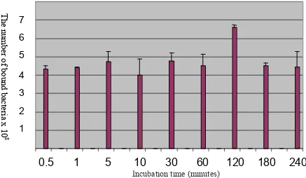 Figure 1. The number of  MRSA bound to hydrophobic dressing Cutimed  SorbactFigure 1. The number of  MRSA bound to hydrophobic dressing Cutimed® Sorbact® at various incubation time