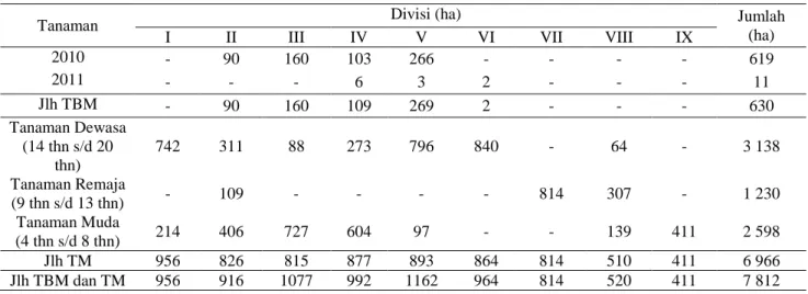 Tabel 1 Luas areal Tanaman Belum Menghasilkan (TBM) dan Tanaman Menghasilkan (TM) 