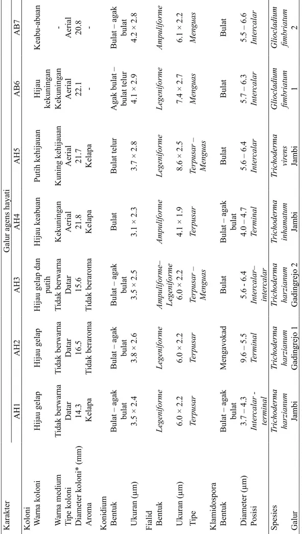 Tabel 2  Karakter morfologi galur agens hayati dan hasil identifikasinya *Diameter koloni diukur 2 hari setelah inkubasi