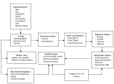 Figure 3.1. Conceptual framework