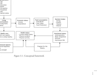 Figure 3.1. Conceptual framework