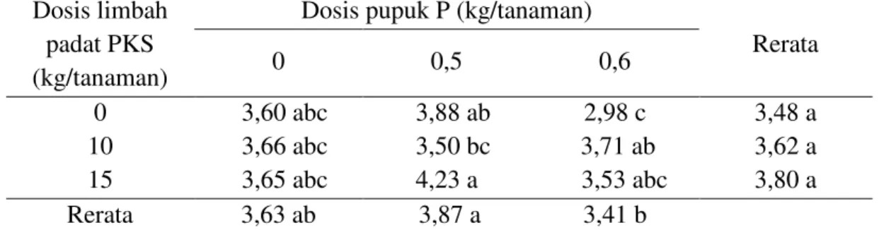 Tabel 3. Rerata lebar anak daun tanaman kelapa sawit (cm) belum menghasilkan  dengan pemberian limbah padat PKS dan pupuk P