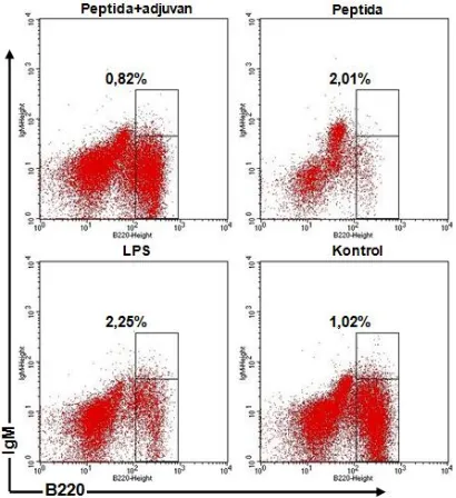 Gambar 2. Rata-rata ekspresi antibodi IgM pada setiap perlakuan. Data pada setiap kelompok perlakuan diwakili oleh  lima mencit dengan standar deviasi yang ditunjukkan dengan notasi garis di setiap rata-rata (Pept+ = peptide+adjuvan, Pep = Peptida)