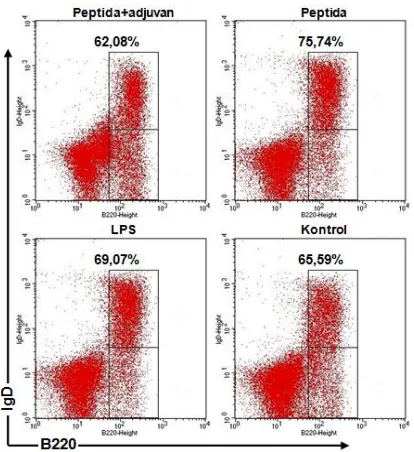 Gambar 4. Rata-rata ekspresi antibodi IgM pada setiap perlakuan. Data pada setiap kelompok perlakuan diwakili oleh lima mencit dengan standar deviasi yang ditunjukkan dengan notasi garis di setiap rata-rata (Pept+ = peptida+adjuvan, Pep = Peptida).Perbedaa