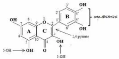 Gambar 7. Struktur Kimia Flavonoid pada Isoflavon[5].
