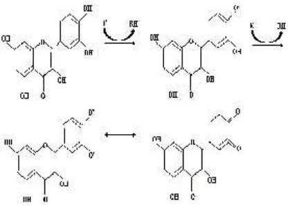 Gambar 3. Prosesfree radical scanvengingdandelokalisasi elektron pada flavonoid [25].