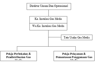 Gambar 3.4 Struktur Organisasi Instalasi Gas Medis RSUP. H. Adam Malik 