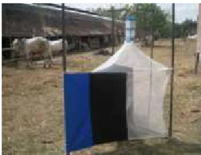 Gambar 1. Perangkap lalat tipe NZ1 yang dipasang di sekitar kandang sapi potong 